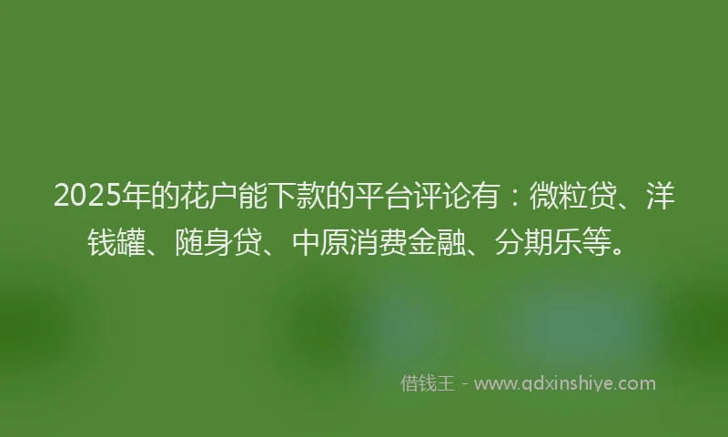 2025年的花户能下款的平台评论有：微粒贷、洋钱罐、随身贷、中原消费金融、分期乐等。