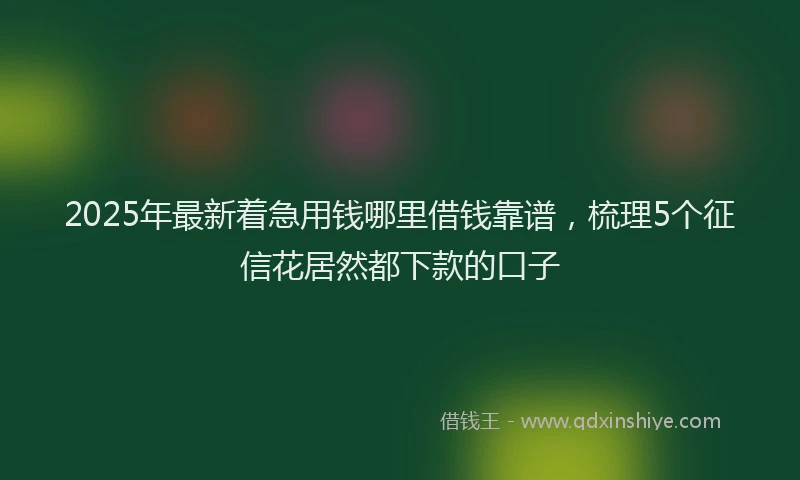 2025年最新着急用钱哪里借钱靠谱，梳理5个征信花居然都下款的口子