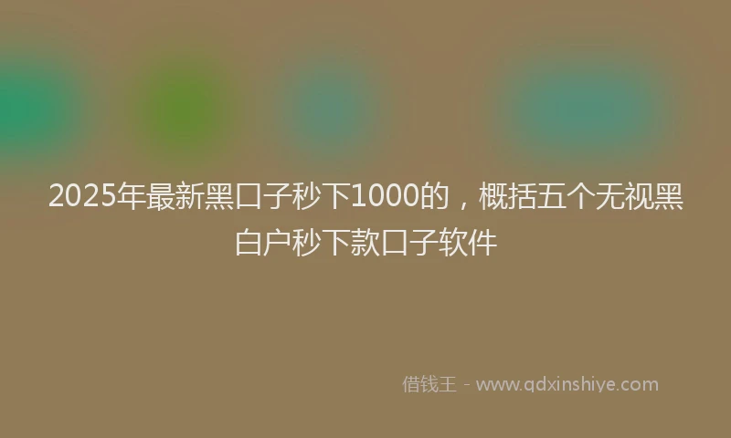 2025年最新黑口子秒下1000的，概括五个无视黑白户秒下款口子软件