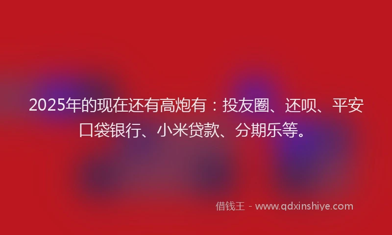 2025年的现在还有高炮有：投友圈、还呗、平安口袋银行、小米贷款、分期乐等。