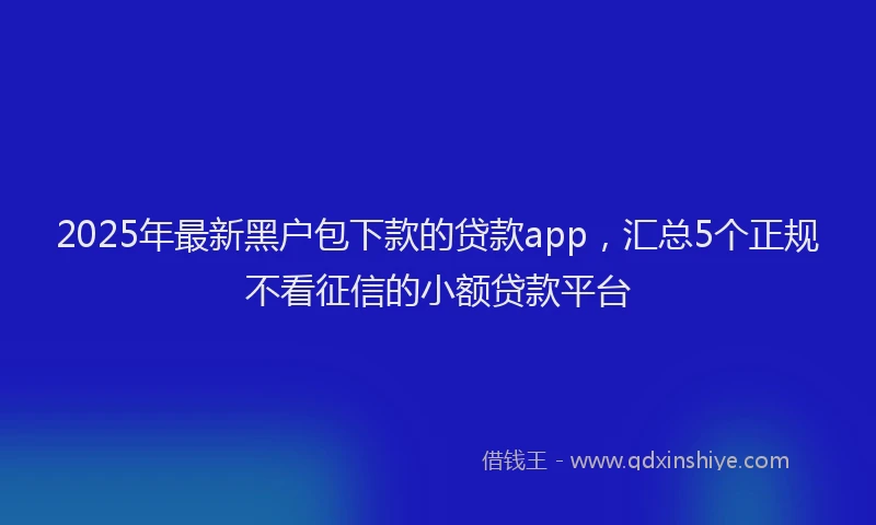 2025年最新黑户包下款的贷款app，汇总5个正规不看征信的小额贷款平台