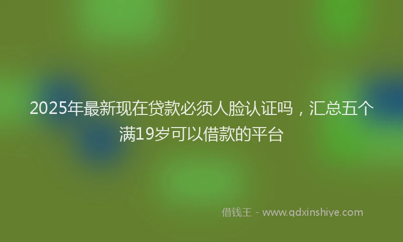 2025年最新现在贷款必须人脸认证吗，汇总五个满19岁可以借款的平台