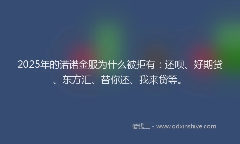 2025年的诺诺金服为什么被拒有：还呗、好期贷、东方汇、替你还、我来贷等。
