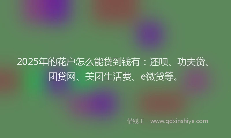2025年的花户怎么能贷到钱有：还呗、功夫贷、团贷网、美团生活费、e微贷等。