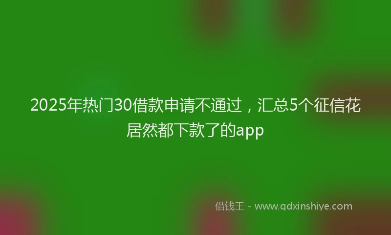 2025年热门30借款申请不通过，汇总5个征信花居然都下款了的app