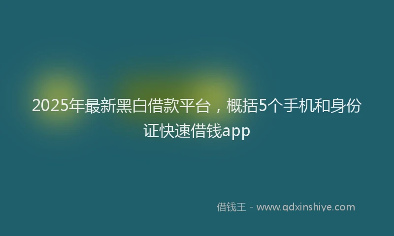 2025年最新黑白借款平台，概括5个手机和身份证快速借钱app