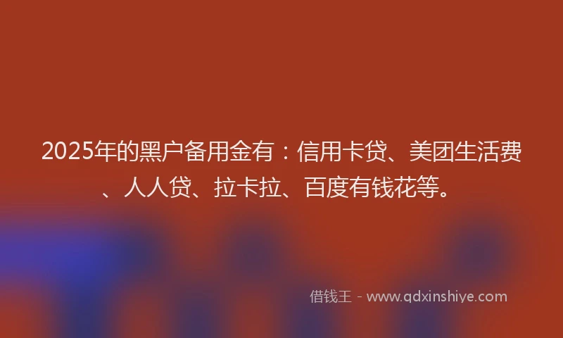 2025年的黑户备用金有：信用卡贷、美团生活费、人人贷、拉卡拉、百度有钱花等。