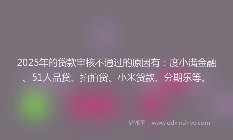 2025年的贷款审核不通过的原因有：度小满金融、51人品贷、拍拍贷、小米贷款、分期乐等。