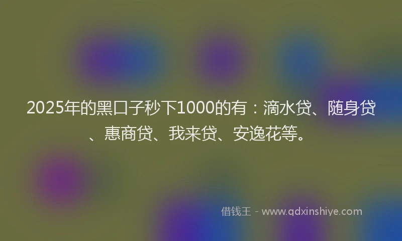 2025年的黑口子秒下1000的有：滴水贷、随身贷、惠商贷、我来贷、安逸花等。