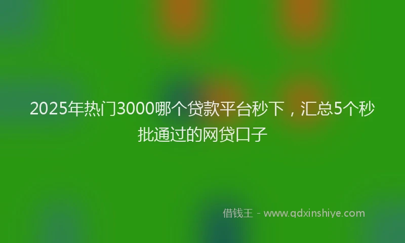 2025年热门3000哪个贷款平台秒下，汇总5个秒批通过的网贷口子