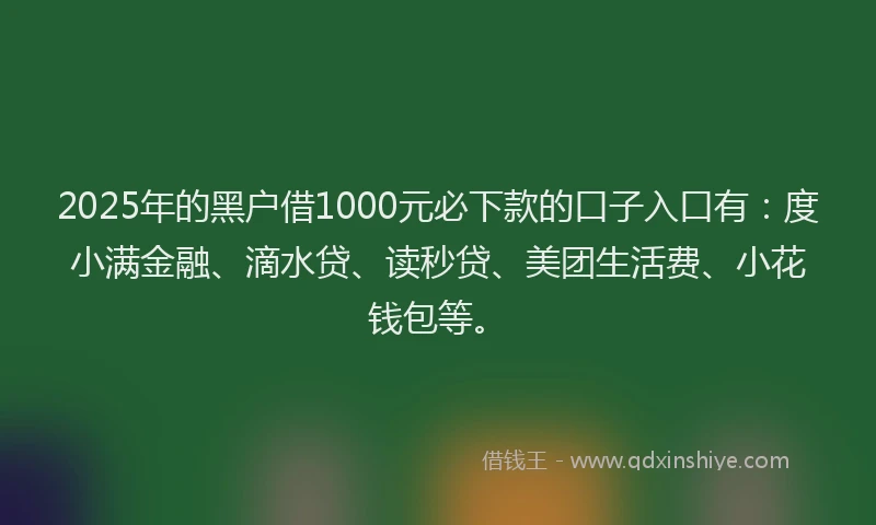 2025年的黑户借1000元必下款的口子入口有：度小满金融、滴水贷、读秒贷、美团生活费、小花钱包等。