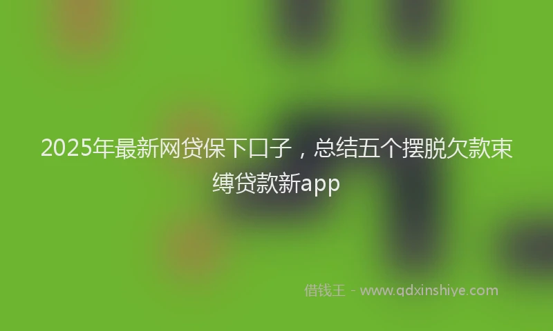 2025年最新网贷保下口子，总结五个摆脱欠款束缚贷款新app