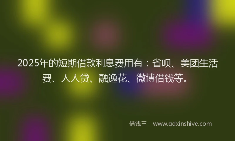 2025年的短期借款利息费用有：省呗、美团生活费、人人贷、融逸花、微博借钱等。