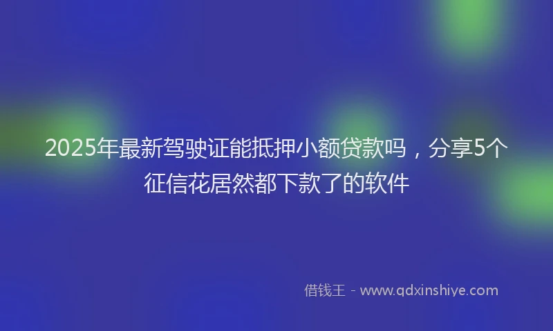 2025年最新驾驶证能抵押小额贷款吗，分享5个征信花居然都下款了的软件