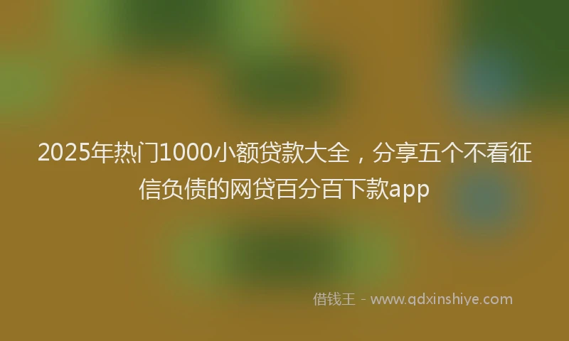2025年热门1000小额贷款大全，分享五个不看征信负债的网贷百分百下款app