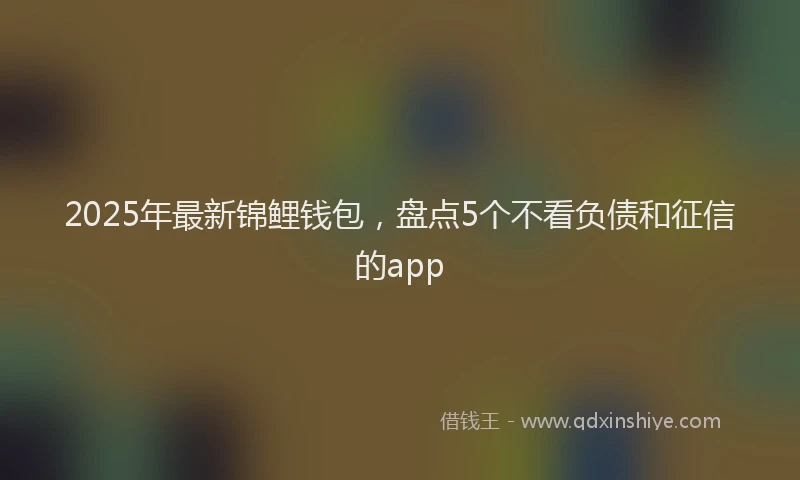 2025年最新锦鲤钱包，盘点5个不看负债和征信的app