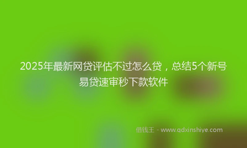 2025年最新网贷评估不过怎么贷，总结5个新号易贷速审秒下款软件