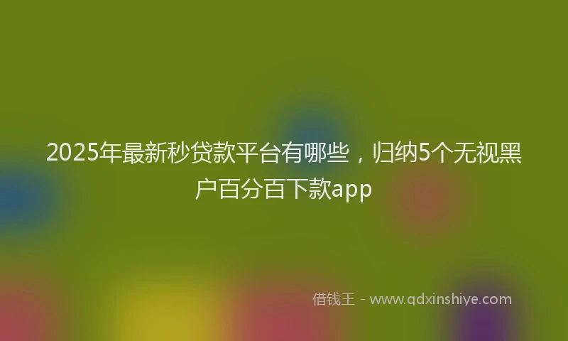 2025年最新秒贷款平台有哪些，归纳5个无视黑户百分百下款app