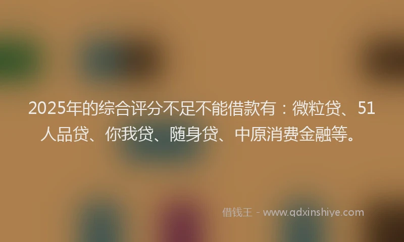 2025年的综合评分不足不能借款有：微粒贷、51人品贷、你我贷、随身贷、中原消费金融等。