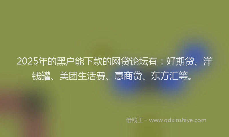 2025年的黑户能下款的网贷论坛有：好期贷、洋钱罐、美团生活费、惠商贷、东方汇等。