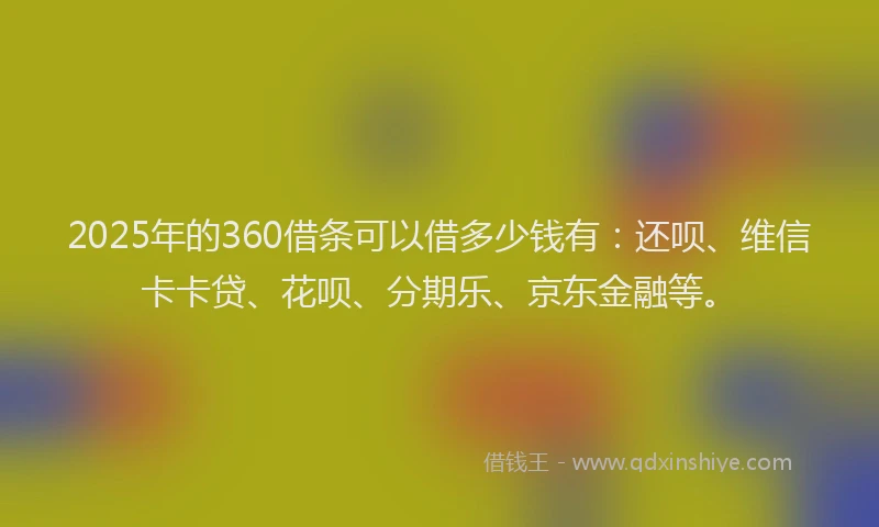 2025年的360借条可以借多少钱有：还呗、维信卡卡贷、花呗、分期乐、京东金融等。