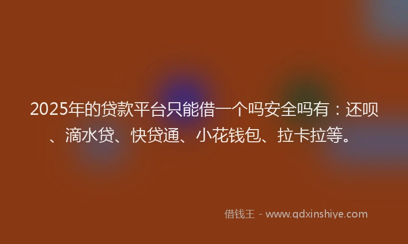 2025年的贷款平台只能借一个吗安全吗有：还呗、滴水贷、快贷通、小花钱包、拉卡拉等。