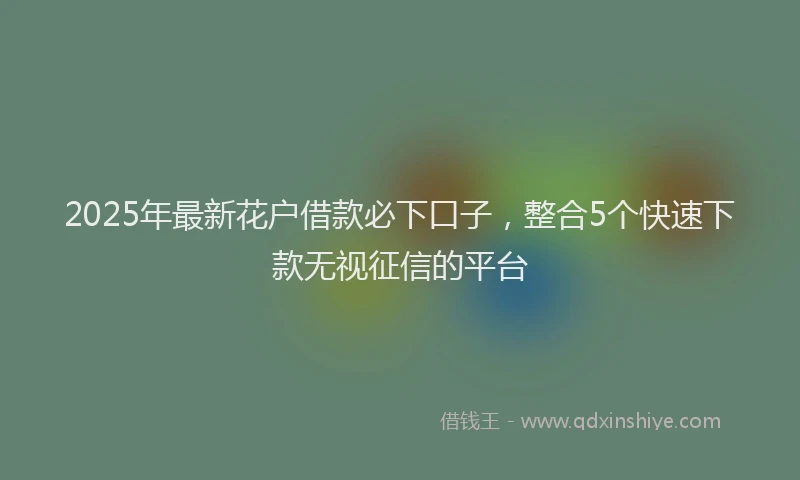 2025年最新花户借款必下口子，整合5个快速下款无视征信的平台