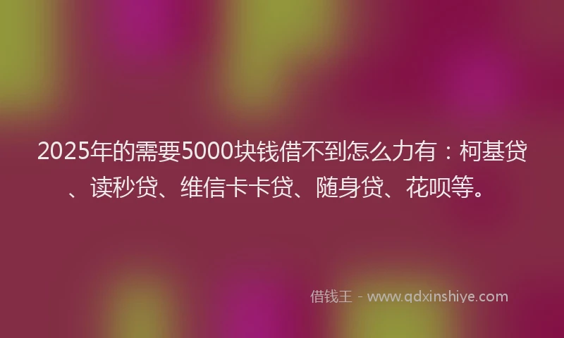 2025年的需要5000块钱借不到怎么力有：柯基贷、读秒贷、维信卡卡贷、随身贷、花呗等。