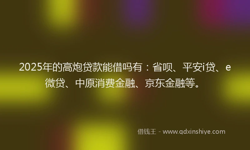2025年的高炮贷款能借吗有：省呗、平安i贷、e微贷、中原消费金融、京东金融等。