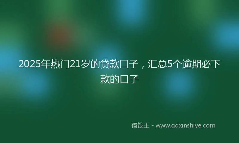 2025年热门21岁的贷款口子，汇总5个逾期必下款的口子
