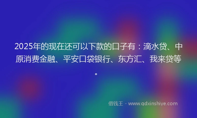 2025年的现在还可以下款的口子有：滴水贷、中原消费金融、平安口袋银行、东方汇、我来贷等。