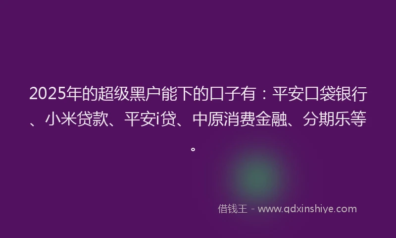 2025年的超级黑户能下的口子有：平安口袋银行、小米贷款、平安i贷、中原消费金融、分期乐等。