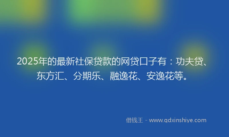 2025年的最新社保贷款的网贷口子有：功夫贷、东方汇、分期乐、融逸花、安逸花等。