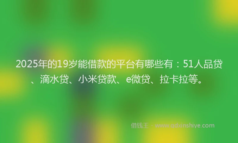 2025年的19岁能借款的平台有哪些有：51人品贷、滴水贷、小米贷款、e微贷、拉卡拉等。