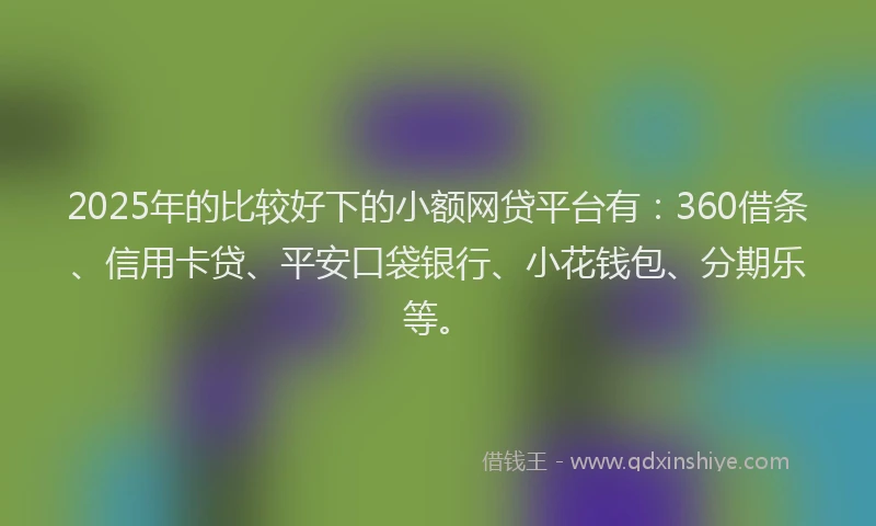 2025年的比较好下的小额网贷平台有：360借条、信用卡贷、平安口袋银行、小花钱包、分期乐等。