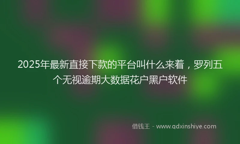 2025年最新直接下款的平台叫什么来着，罗列五个无视逾期大数据花户黑户软件