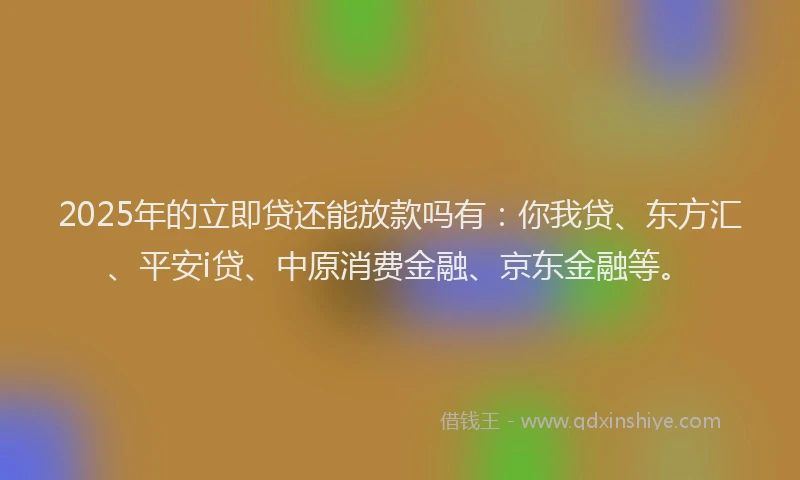 2025年的立即贷还能放款吗有：你我贷、东方汇、平安i贷、中原消费金融、京东金融等。