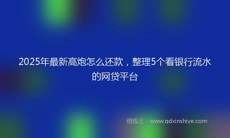 2025年最新高炮怎么还款，整理5个看银行流水的网贷平台