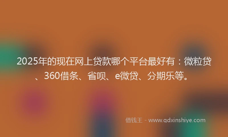 2025年的现在网上贷款哪个平台最好有：微粒贷、360借条、省呗、e微贷、分期乐等。