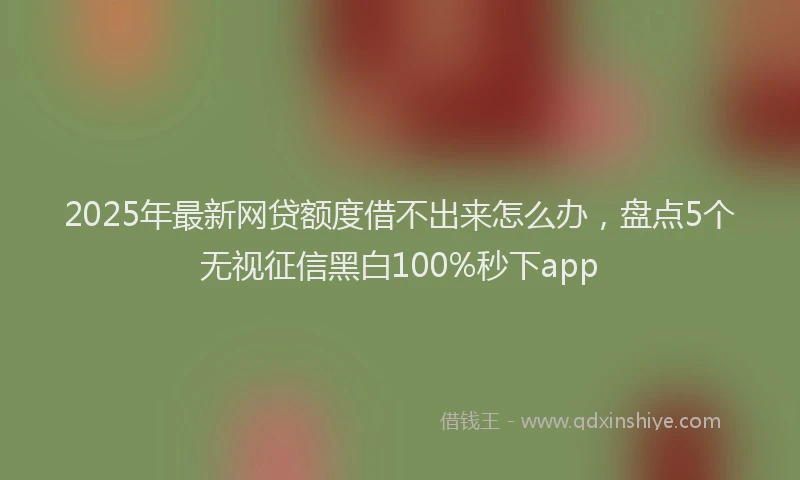 2025年最新网贷额度借不出来怎么办，盘点5个无视征信黑白100%秒下app