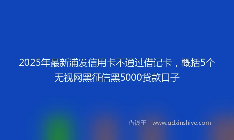 2025年最新浦发信用卡不通过借记卡，概括5个无视网黑征信黑5000贷款口子