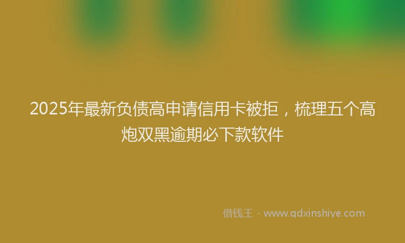 2025年最新负债高申请信用卡被拒，梳理五个高炮双黑逾期必下款软件