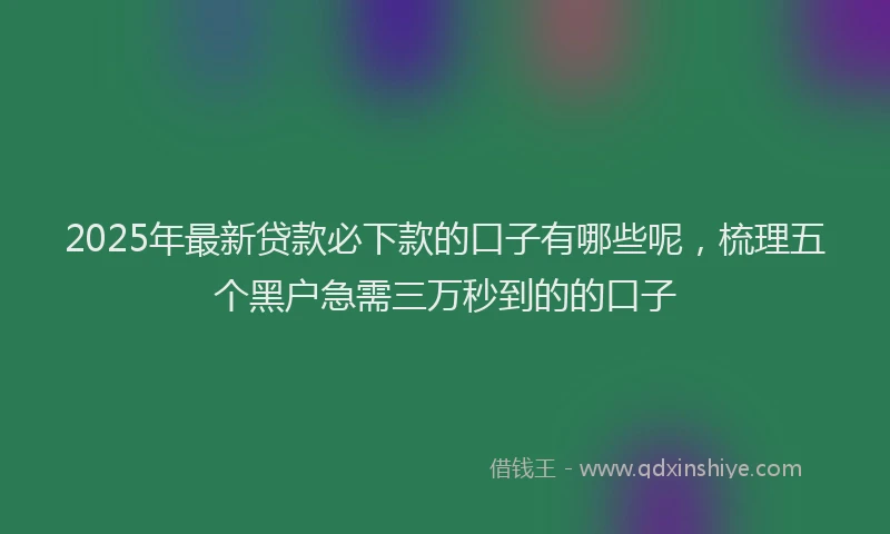2025年最新贷款必下款的口子有哪些呢，梳理五个黑户急需三万秒到的的口子