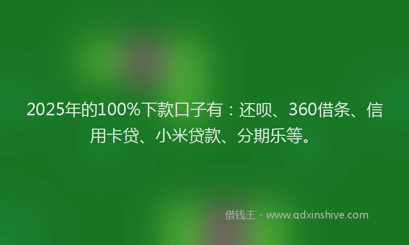 2025年的100%下款口子有：还呗、360借条、信用卡贷、小米贷款、分期乐等。