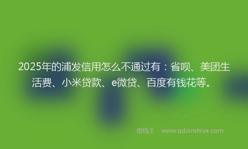 2025年的浦发信用怎么不通过有：省呗、美团生活费、小米贷款、e微贷、百度有钱花等。