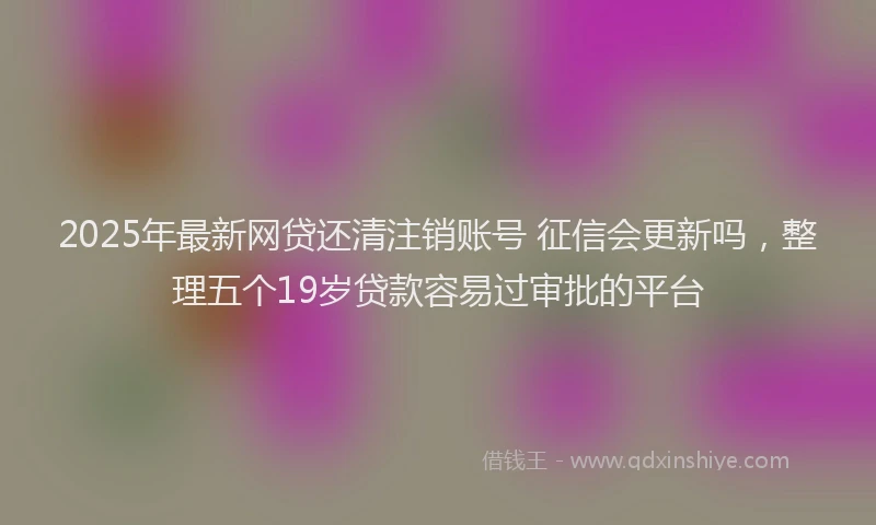 2025年最新网贷还清注销账号 征信会更新吗，整理五个19岁贷款容易过审批的平台