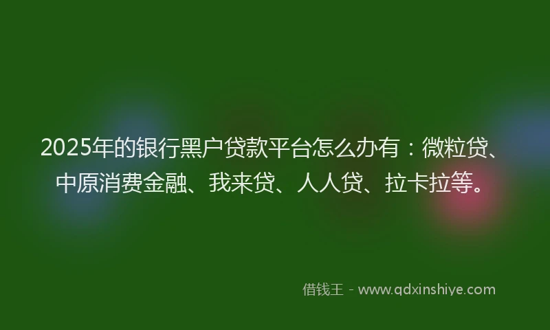 2025年的银行黑户贷款平台怎么办有：微粒贷、中原消费金融、我来贷、人人贷、拉卡拉等。