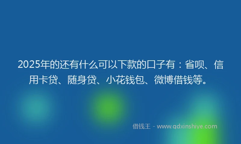 2025年的还有什么可以下款的口子有：省呗、信用卡贷、随身贷、小花钱包、微博借钱等。