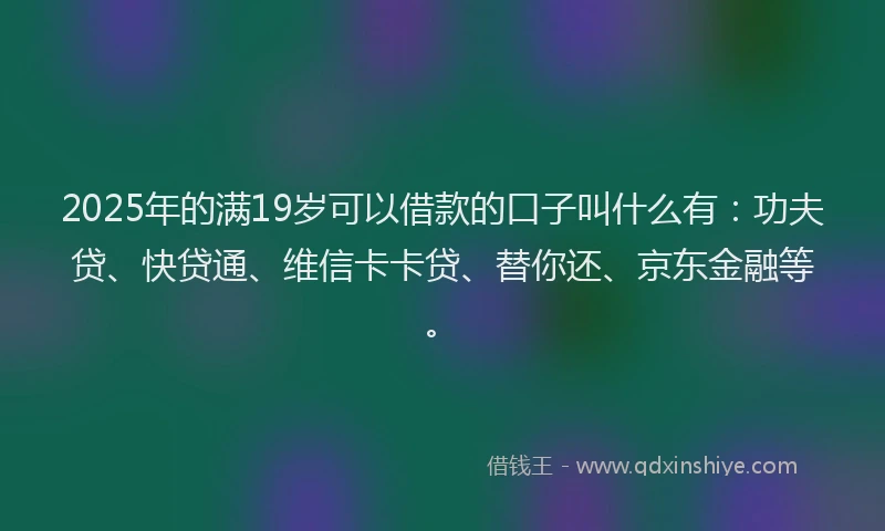 2025年的满19岁可以借款的口子叫什么有：功夫贷、快贷通、维信卡卡贷、替你还、京东金融等。