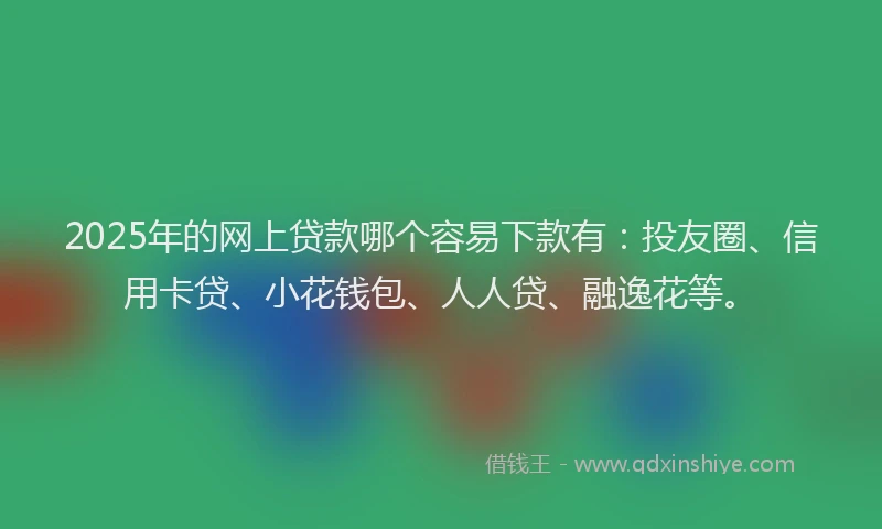 2025年的网上贷款哪个容易下款有：投友圈、信用卡贷、小花钱包、人人贷、融逸花等。